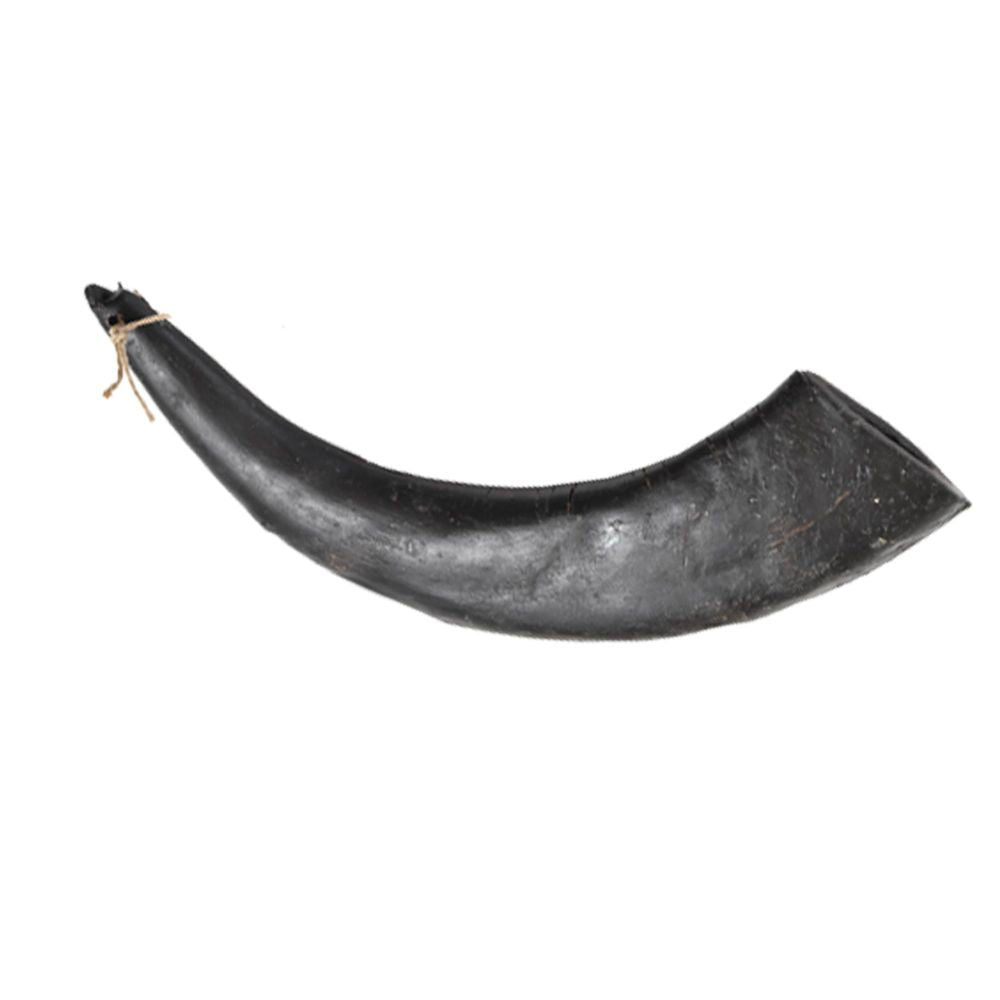 Hollings Buffalo Horn