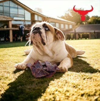The Buffalo Co. - Buffalo Meat Jerky-Dog Treats-100g