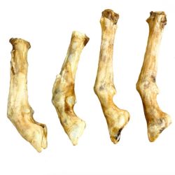 Goat Leg