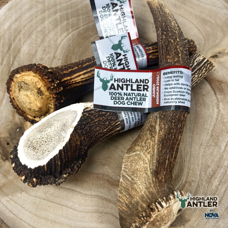 Highland Antler