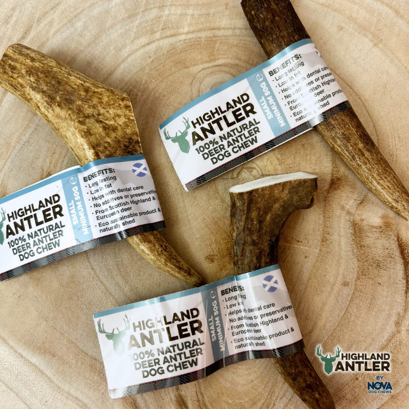 Highland Antler