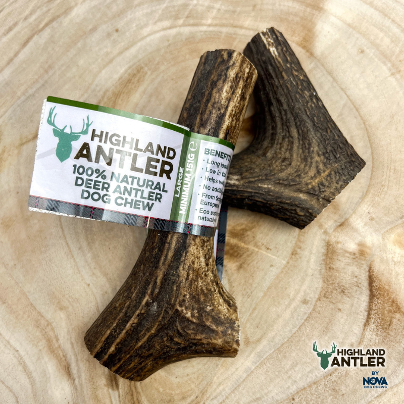 Highland Antler