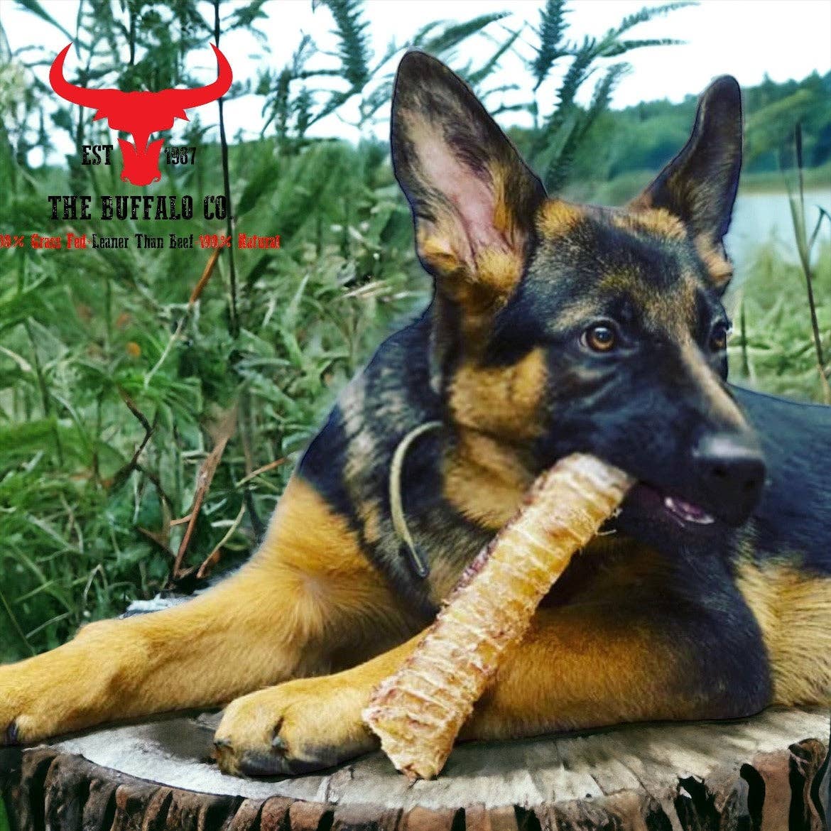 The Buffalo Co. - Buffalo Trachea Rounds-Dog Treats-100g