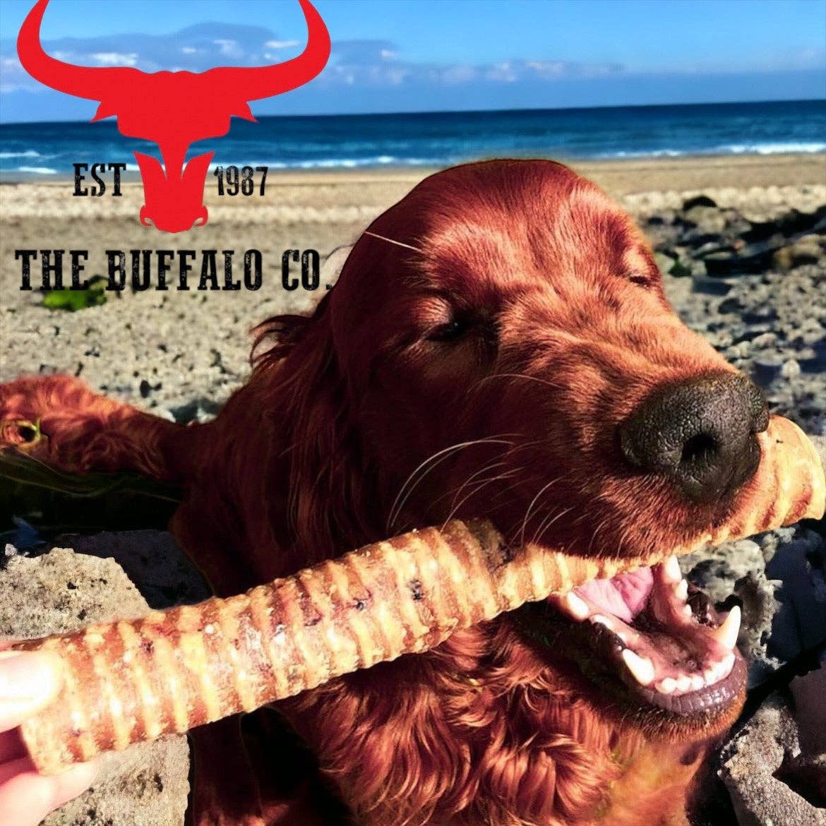 The Buffalo Co. - Buffalo Trachea Rounds-Dog Treats-100g