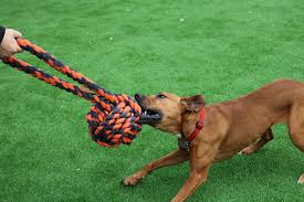 Happy Pet Extreme Tugger XXL