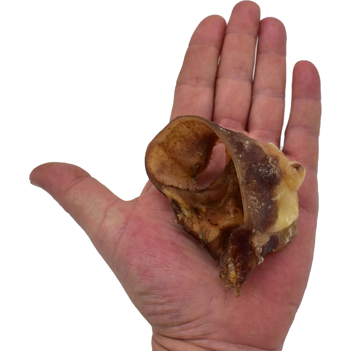 Pork Crunch Bites - Inner Ear