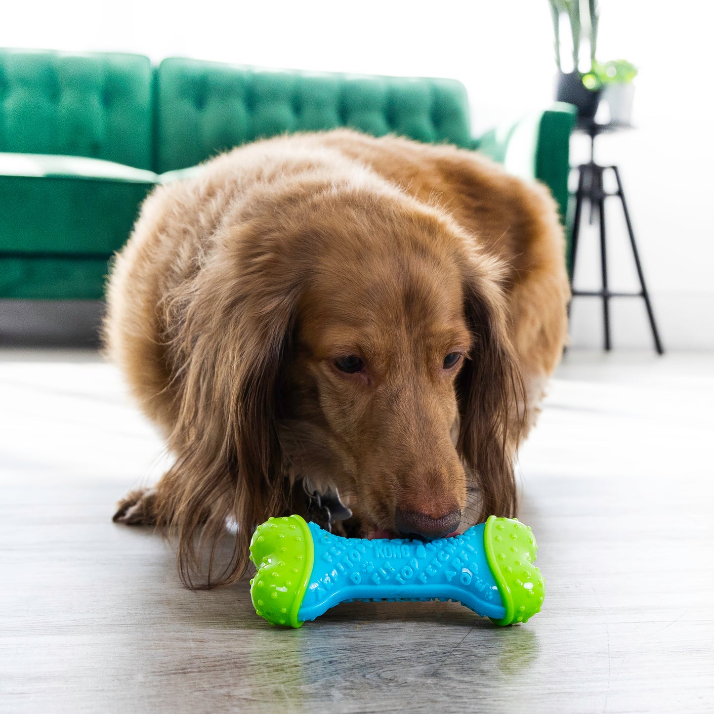 Kong CoreStrength Bone (Medium/Large)