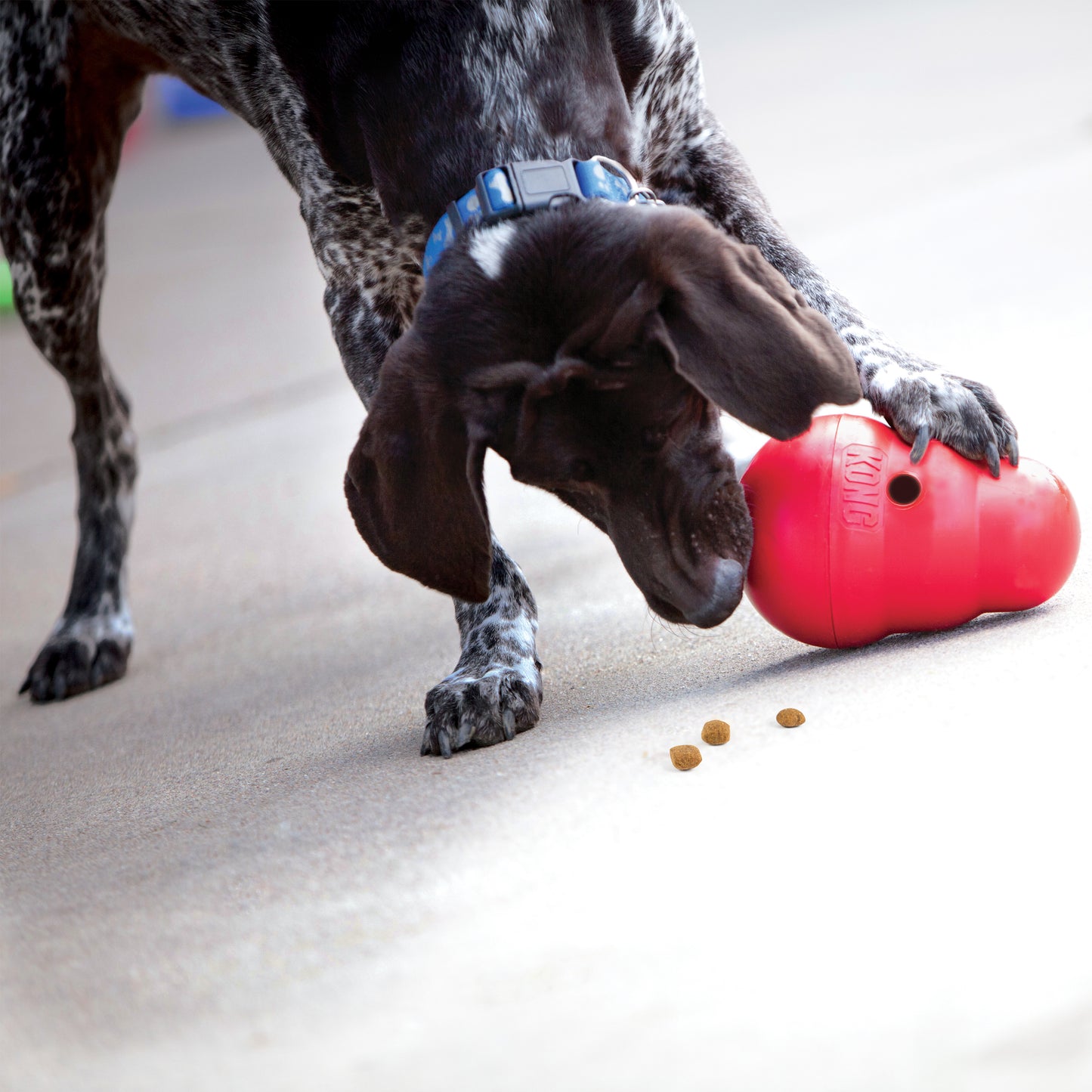 Kong Wobbler (Large)