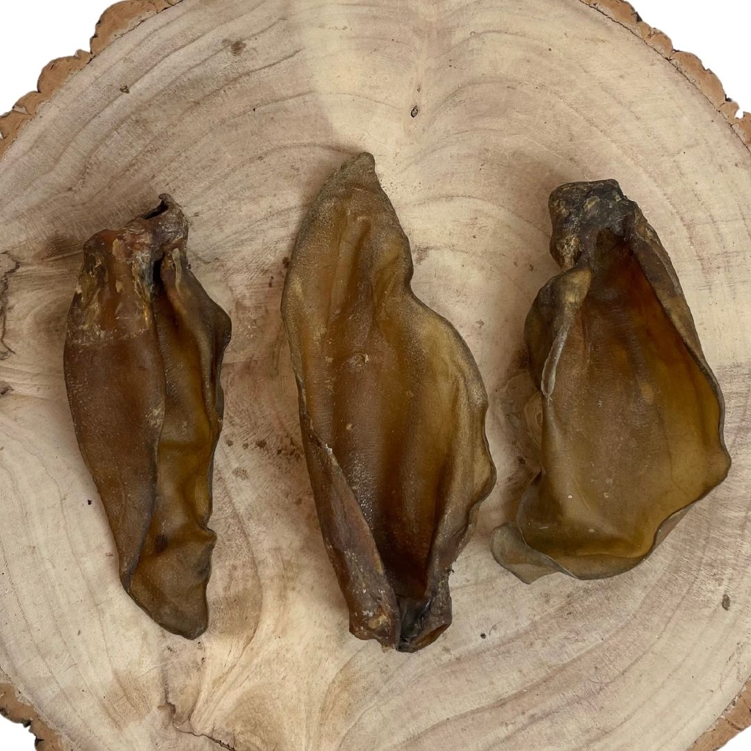 Paddock Farm Buffalo Ears