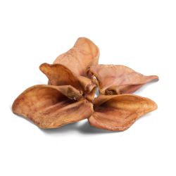 Paddock Farm Pig Ears