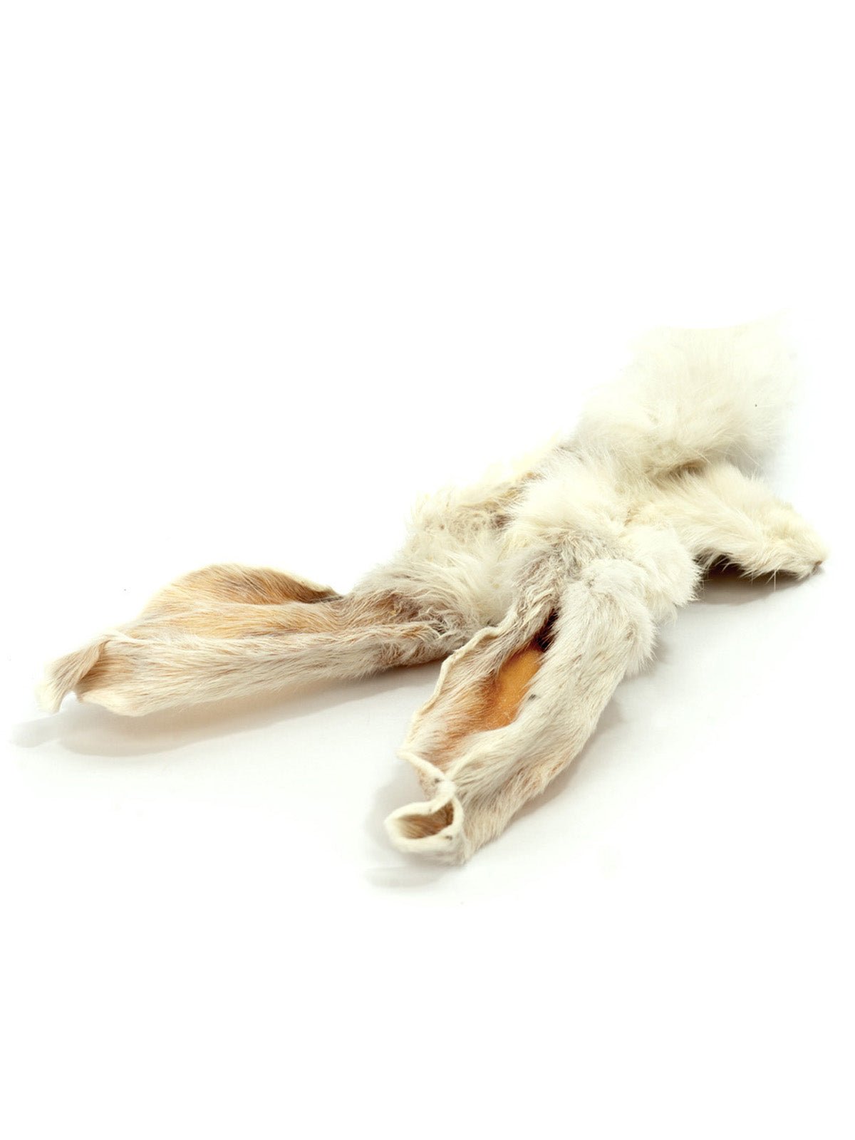 Hairy Rabbit Ears