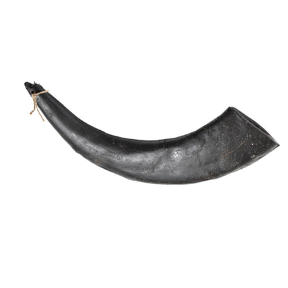 Hollings Buffalo Horn