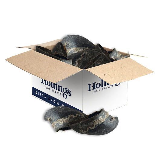 Hollings Plain Hooves (25pk)