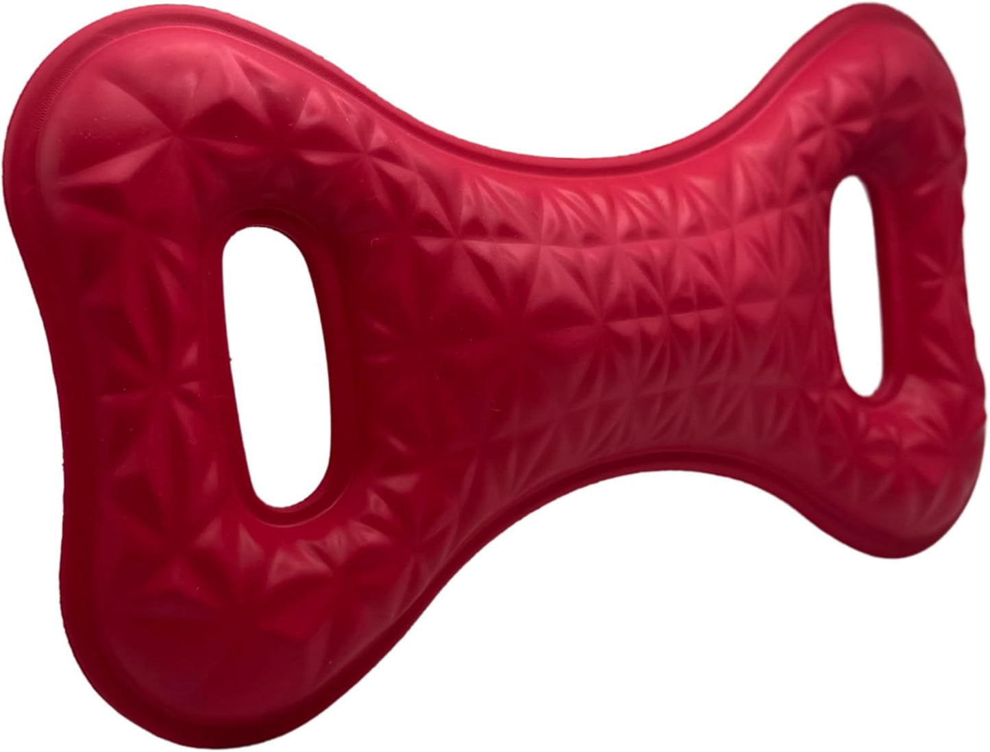 Aqua Dog Bone Tug