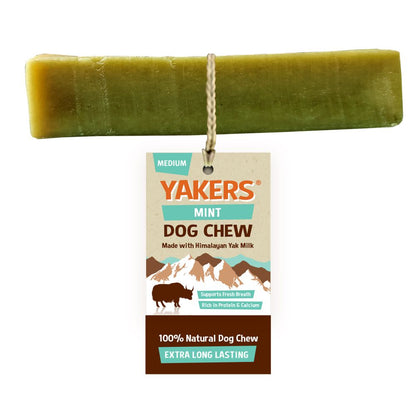 Yakers Dog Chew Mint