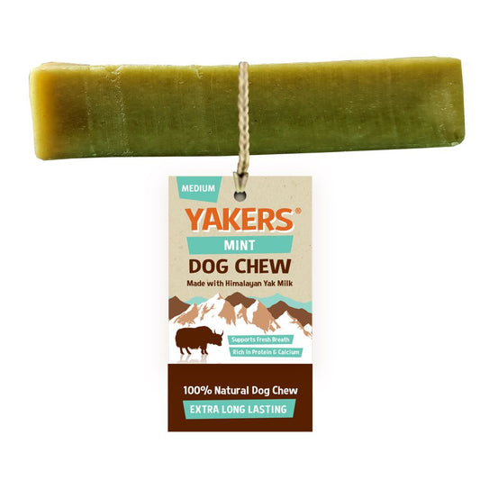 Yakers Dog Chew Mint