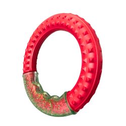 Aqua Dog Fling Ring