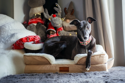 The Belgravia Orthopaedic Dog Sofa™ - Medium