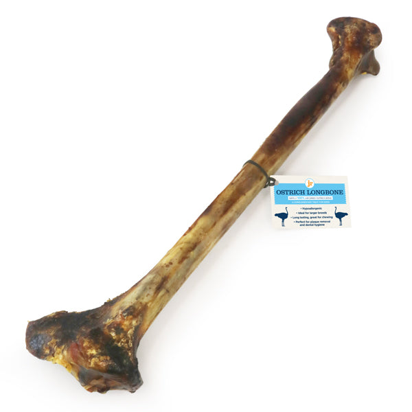 JR Ostrich Long Bone