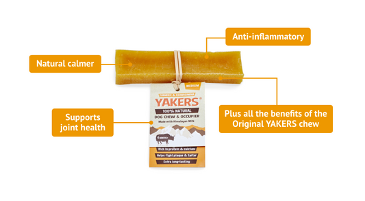 Yakers Dog Chew Turmeric