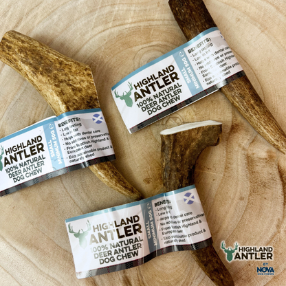 Highland Antler