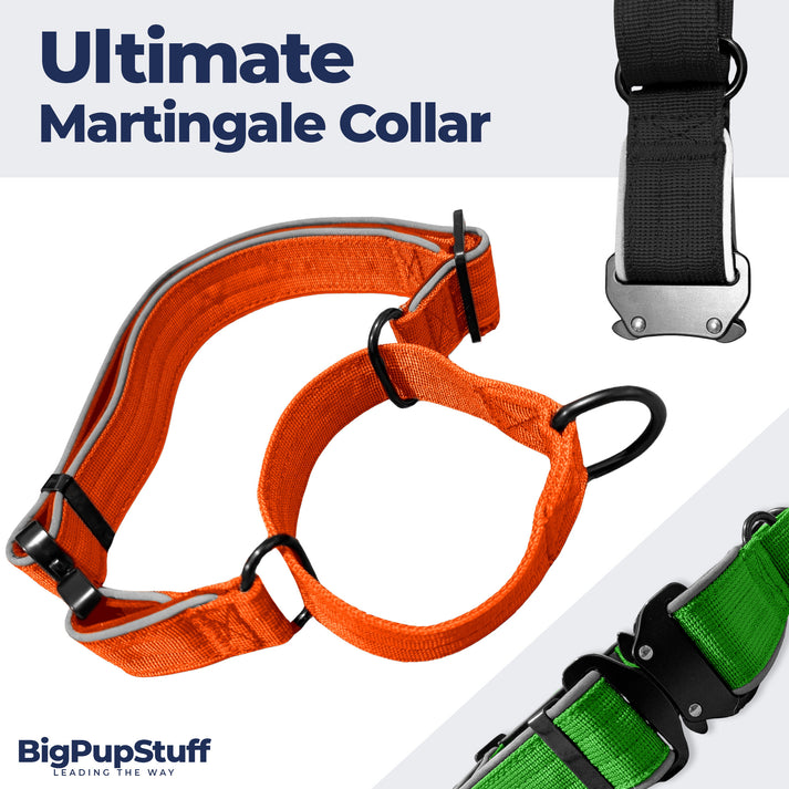 Ultimate Martingale Collar – bigpupstuff
