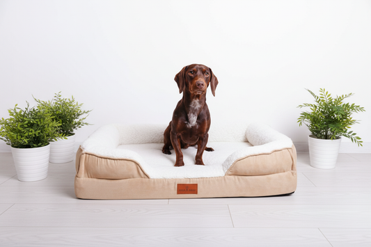 The Belgravia Orthopaedic Dog Sofa™ - Medium