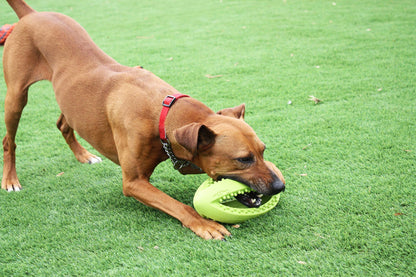 Happy Pet Grubber Rugby