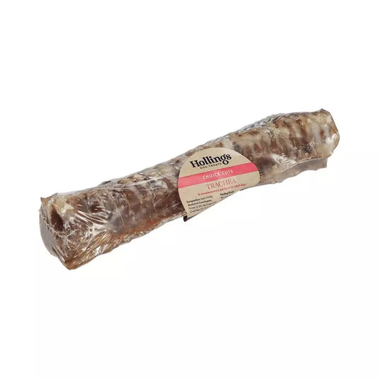 Hollings Trachea 1pk