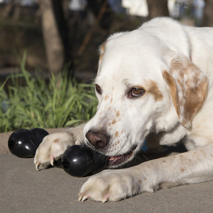 Kong Extreme Goodie Bone (Medium)