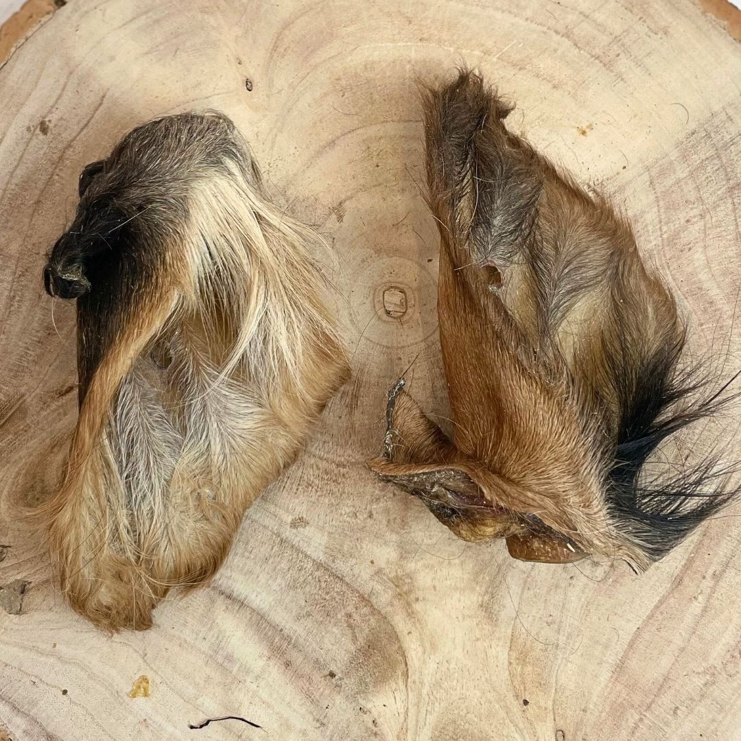 Paddock Farm Hairy Cow Ears