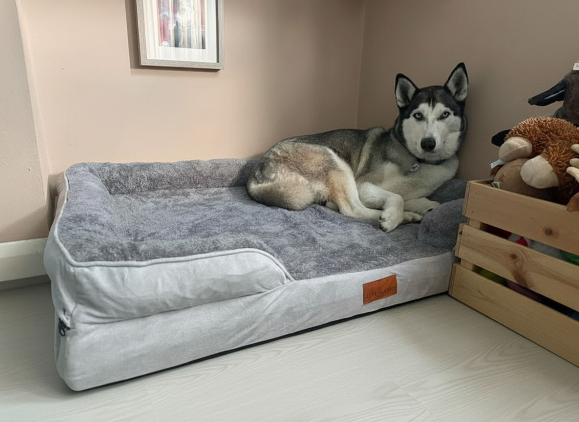 The Belgravia Orthopaedic Dog Sofa™ - Xl